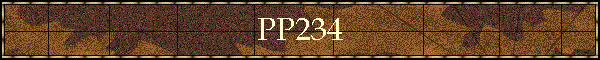PP234